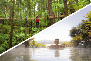 Auckland: Lo mejor de Rotorua con Redwoods Treewalk y spa