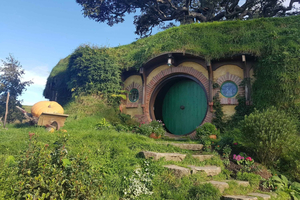 Från Auckland: Hobbiton och Rotorua med lunch på Te Puia
