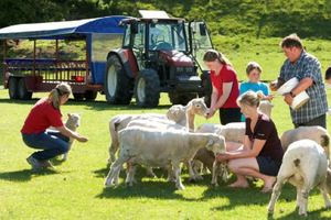 Rotorua Adventures Private Tour