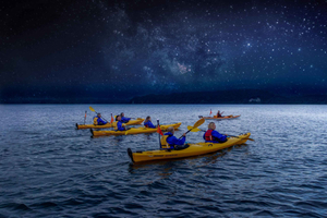 Rotorua: Excursión nocturna en kayak Starlight Gourmet con cena