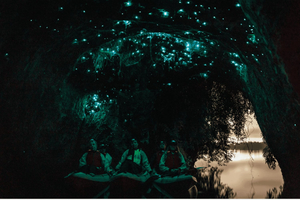 Rotorua: Glow Worm Adventure Kayak