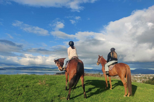 Rotorua: paseo a caballo por paisajes increíbles
