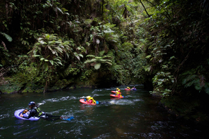 Zjazdy na sankach w Rotorua: Kaituna White Water River Board Experience