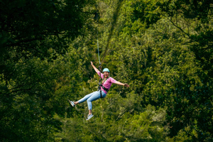Tyroliennes de Rotorua : tyrolienne au-dessus de cascades et bain dans des sources chaudes