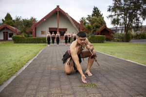 Te Puia: tour guiado de 1 día por Te Rā + espectáculo cultural de haka