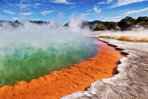 TRIPLE OFERTA Wai-O-Tapu, Redwood y Blue Spring desde Auckland