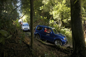Ultimate Self Drive 4WD Bush Safari