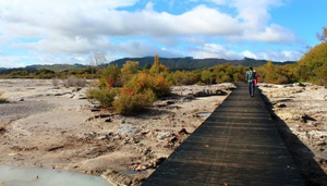 24 timmar i Rotorua