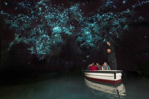 Auckland to Waitomo Caves, Hobbiton & Rotorua 2-Day Private
