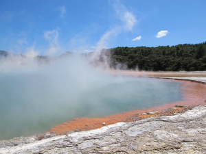 FlexiTours NZ