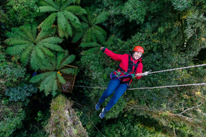 From Tauranga: Rotorua Adventure and Native Forest Tour