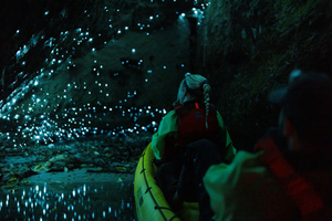 Glow Worm Kayak Tour