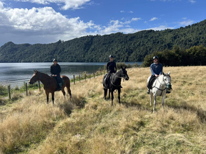 Horse Trekking Lake Okareka