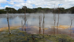 Kuirau Park