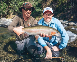 Rotorua Trout Guide