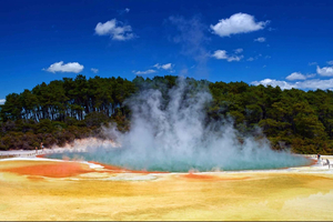 Wai-O-Tapu & Te Puia Small-Group Day Tour From Rotorua