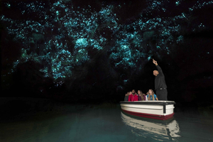 Waitomo Glowworm Caves Tour & Transfer From Rotorua