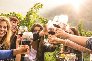 Chauffeured Winery Tour with Full Meal