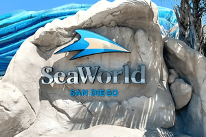 From Los Angeles: La Jolla Cove and SeaWorld Day Trip