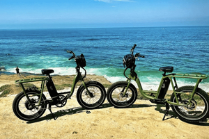 Halvdagsleje af Performance eBike