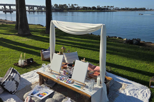 Paint and Sip Luxury Picnic Experience