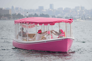 Cruzeiro de barco privado cor-de-rosa em San Diego! Aniversário de solteira