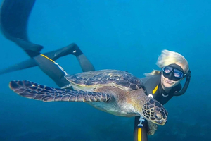San Diego: Guidet snorkeltur i La Jolla Cove