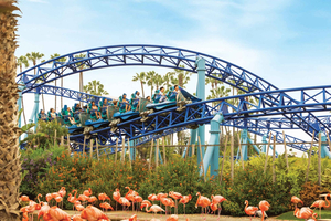 San Diego: Biglietto di ingresso prioritario al parco di SeaWorld