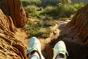 San Diego Torrey Pines Guided Hike and Picnic Private Tour