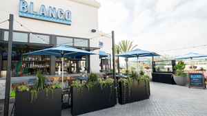 Blanco Cocina + Cantina