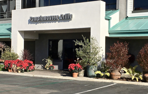 Pamplemousse Grille