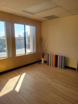 Salty Sun Wellness (formerly San Diego Holistic Wellness)