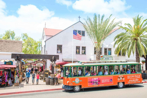 Hop-on-hop-off Trolley Tour met uitleg