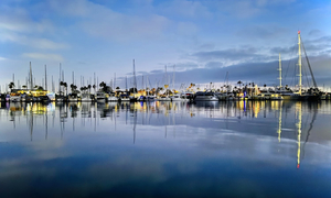 Shelter Island Marina