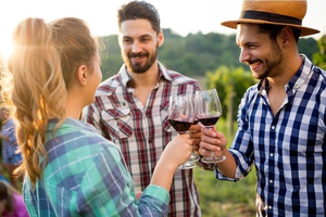 Bundle: Muir Woods & Napa Wine Tasting in 1 Day