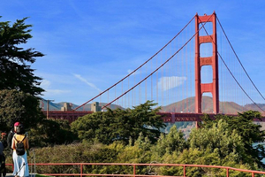 From San Francisco - Muir Woods Tour and Hop-on Hop-off City Tour