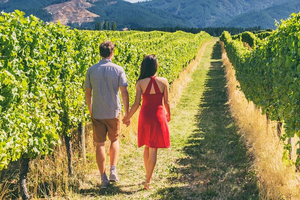 From San Francisco - Napa & Sonoma Valley Wine Tour with Tastings