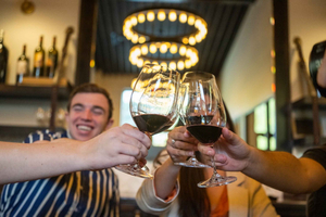 From San Francisco: The Ultimate Napa and Sonoma Wine Tour