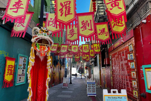 Rebelse SF: wandeltour door Chinatown en North Beach
