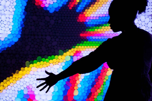 Billet til San Francisco Exploratorium: Over 700 praktiske udstillinger
