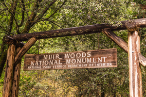 San Francisco Golden Gate Sausalito Muir Woods Private Tour