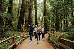 San Francisco: Muir Woods & Sausalito Tour w/Alcatraz Option