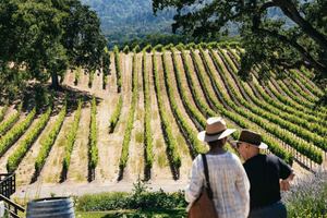 San Francisco: Napa and Sonoma Valley Wine Tour