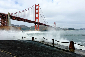 San Francisco: Small-Group City Highlights Tour