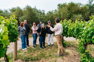 San Francisco: Sonoma Wine Country Tour mit Verkostungen