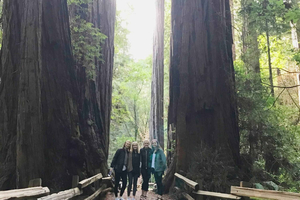 San Francisco Tour to Muir Woods Giant Redwoods & Sausalito