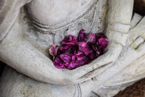 Integrative Wellness SF