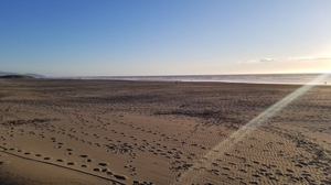 Ocean Beach