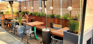 The Anchovy Bar