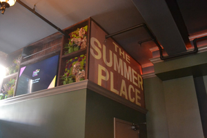 The Summer Place